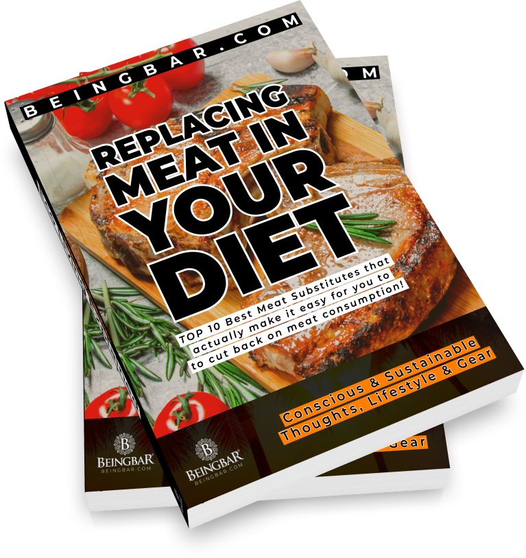 Replacing Meat in your Diet eguide cover - BEINGBAR.COM