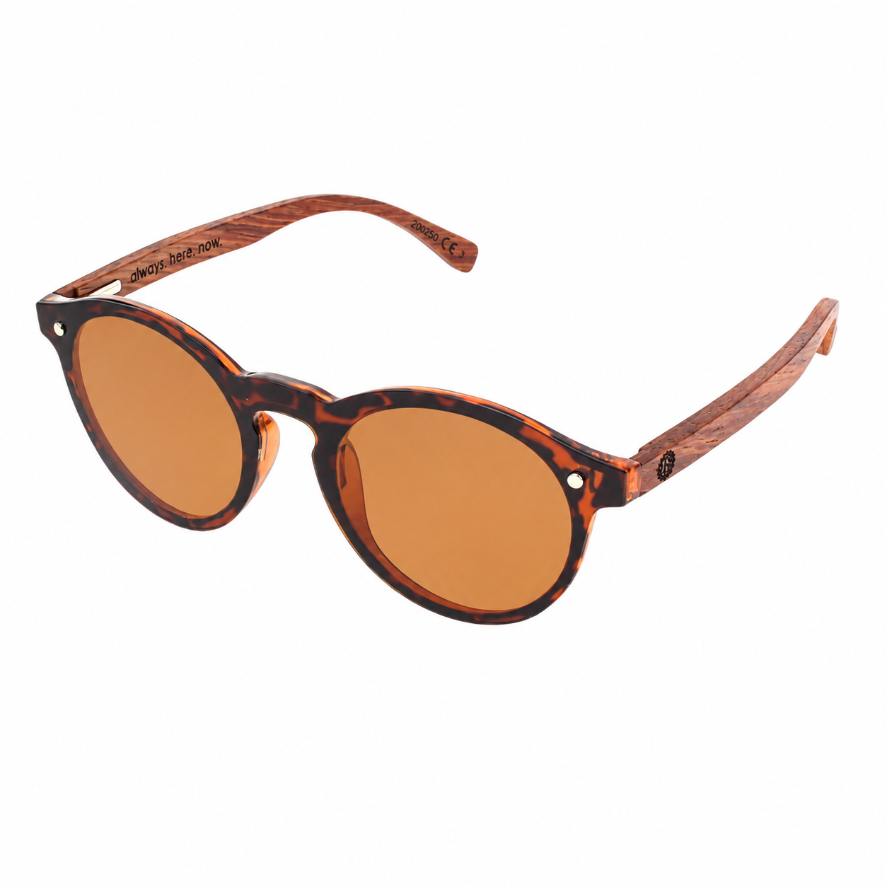 BEINGBAR Model 12 Polarised Sunglasses - Image 2
